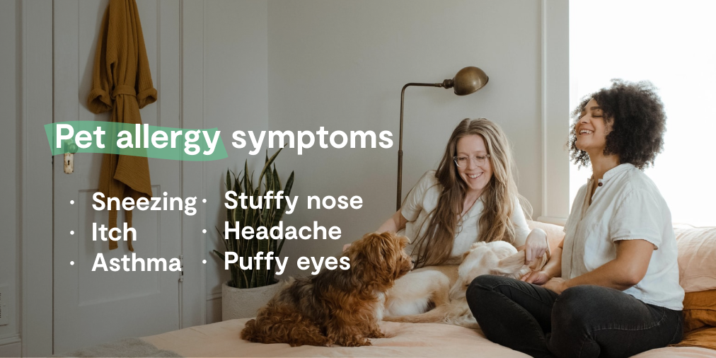 pet allergy symptoms