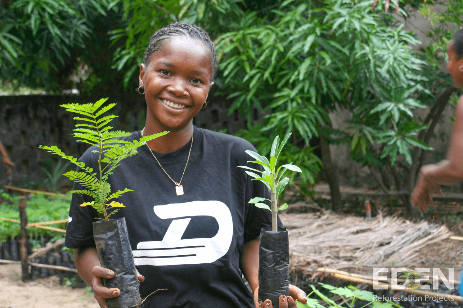 Plant trees with Vitesy and Eden Reforestation Projects