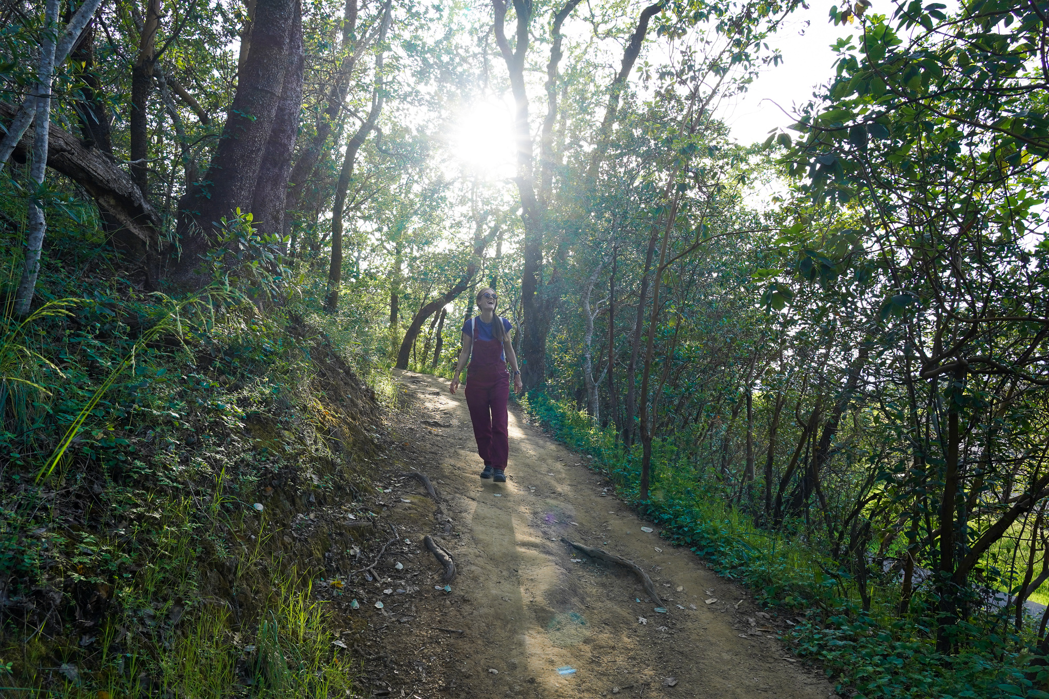 Hiker on the All the Oaks Trail at Healdsburg Ridge Open Space Preserve 