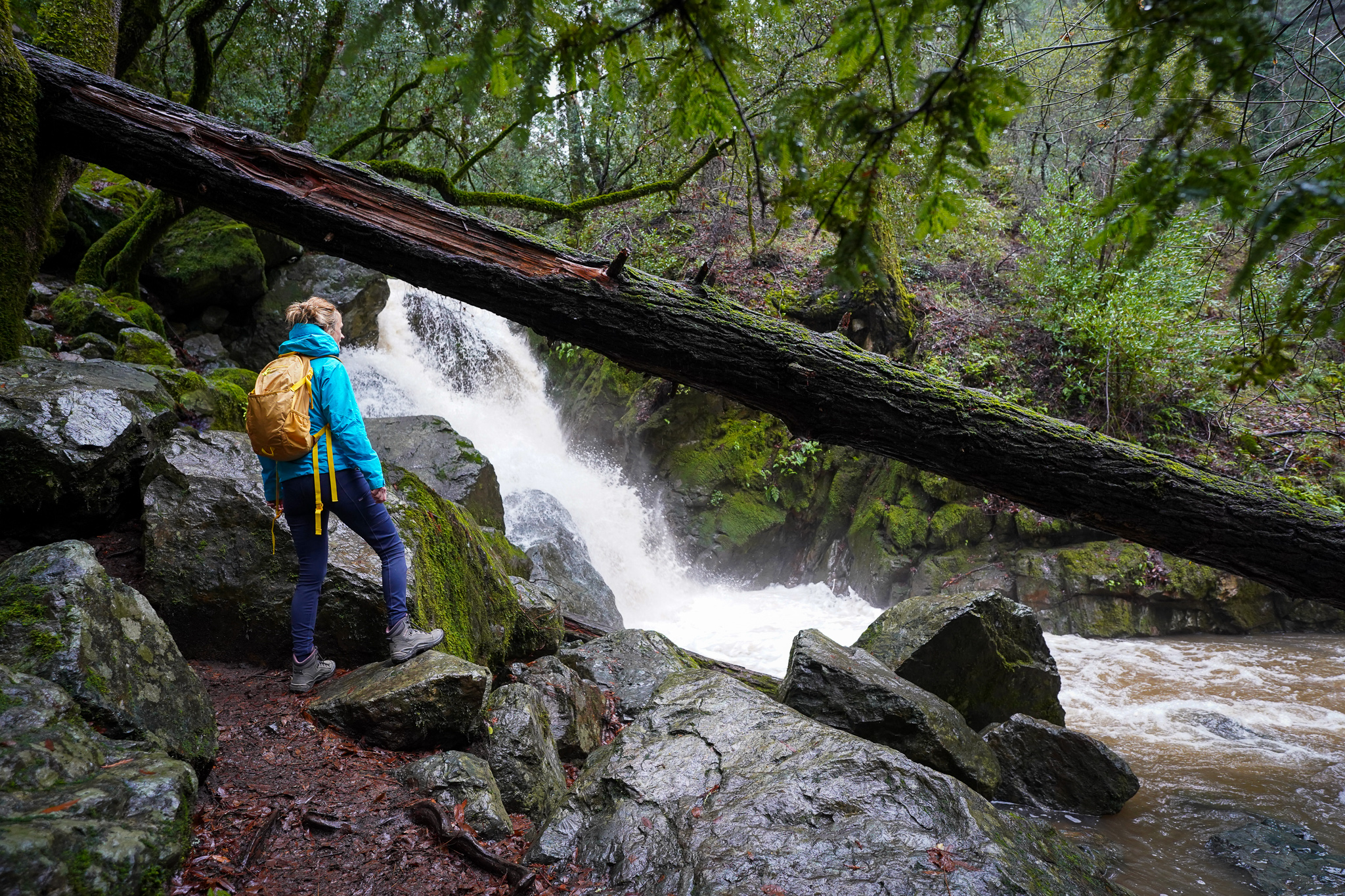 Waterfall hike at Sugarloaf Ridge State Park