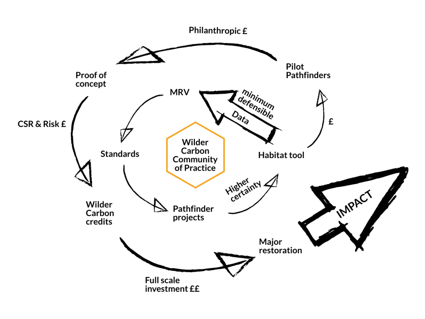 Wilder Carbon Iterative Learning and continuous Improvement Cycle