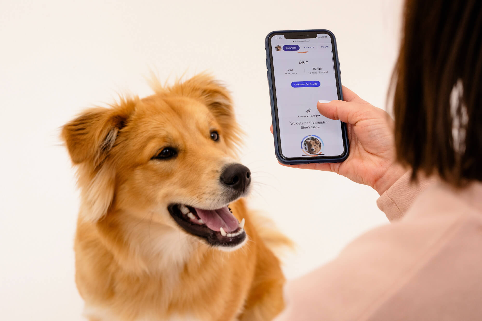 Woman viewing her dog's breed breakdown