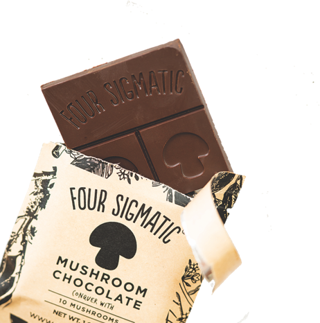 Mushroom Chocolate Image