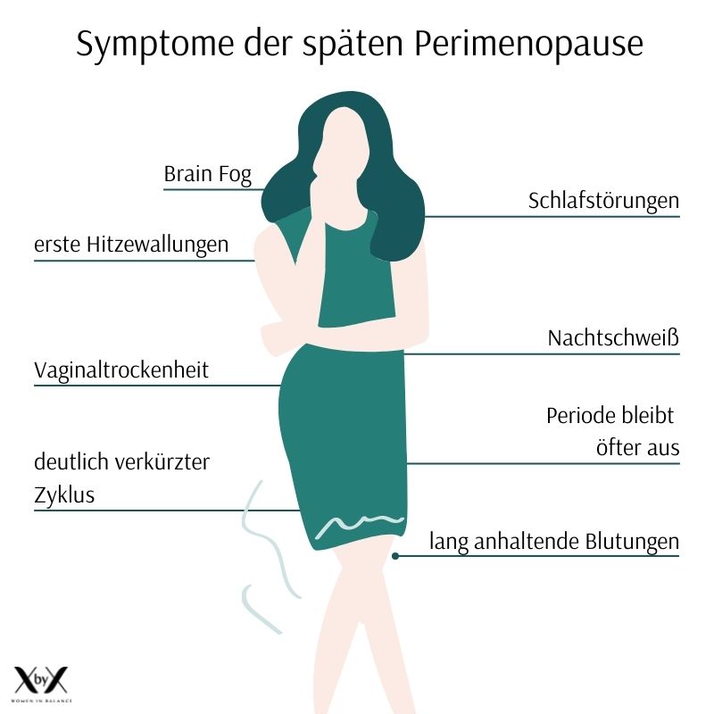 Symptome Wechseljahre späte Perimenopause
