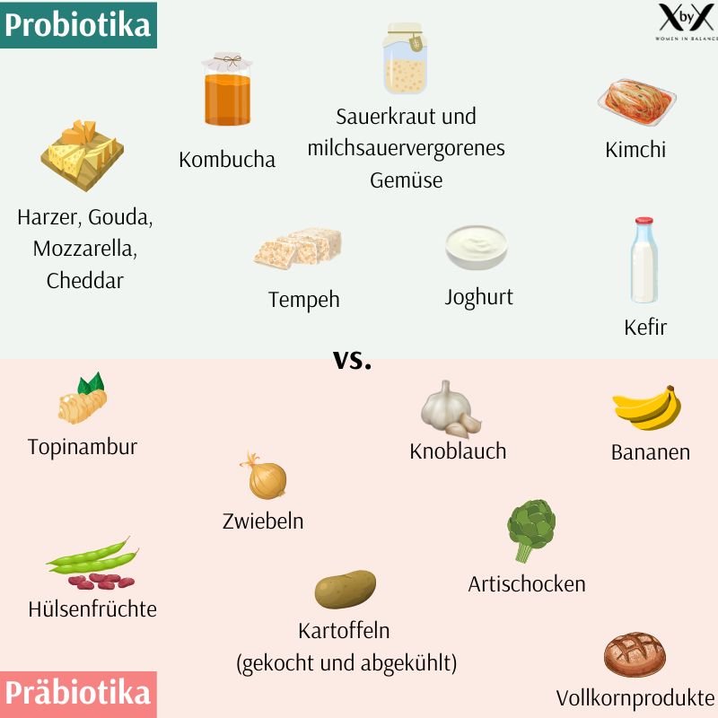 Präbiotika und Probiotika