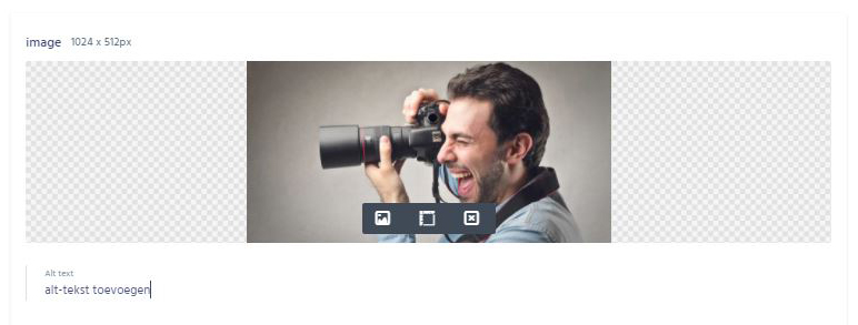 add an alt-text