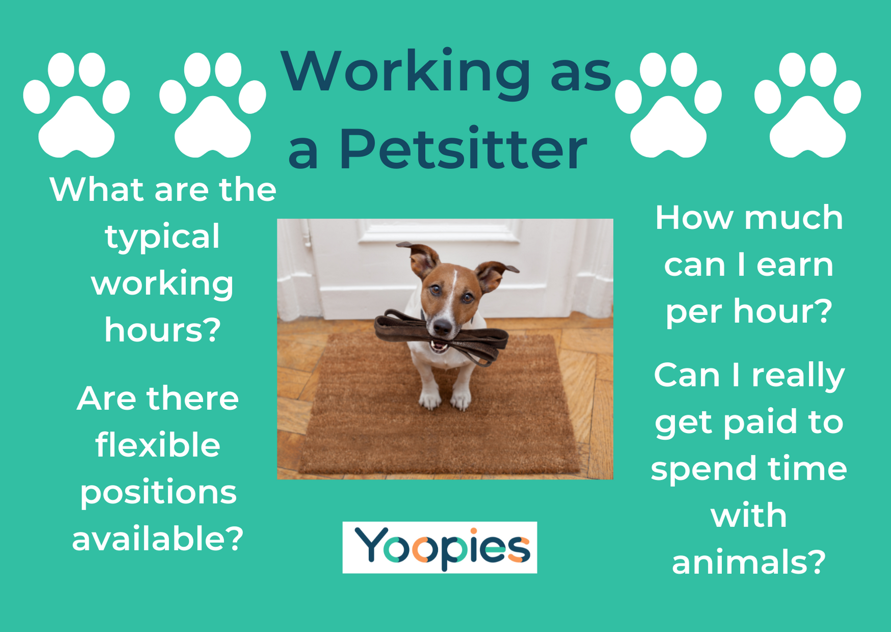 Working as a petsitter Everything you need to know